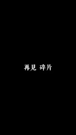 再見 碎片