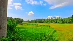 Nature HD