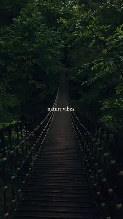 nature vibes.