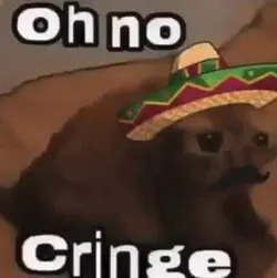 Mexican Cringe Meme