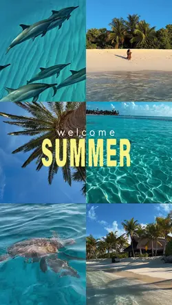 welcome summer