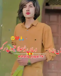 saraiki status 