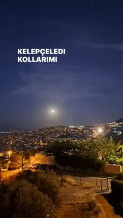 Daha fazla video 