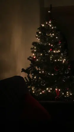 CHRISTMAS ❄