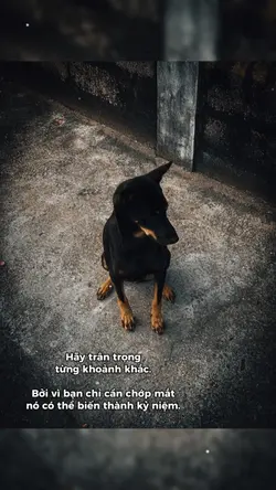 Hãy Trân Trọng