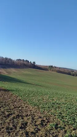 Słońce 