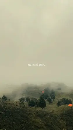 Peace and quiet