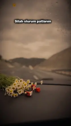 silah olur patlarım