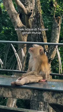 ndase di Tespen