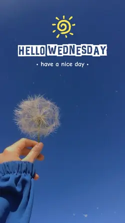 Hello Wednesday