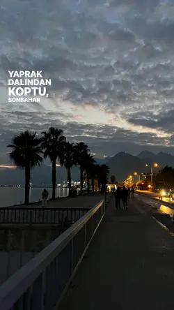 Sohbahar bahaneymiş