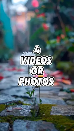 Mini vlog video 