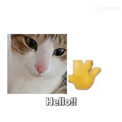 Hello! ^^