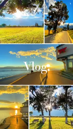 MOMENTS GRID