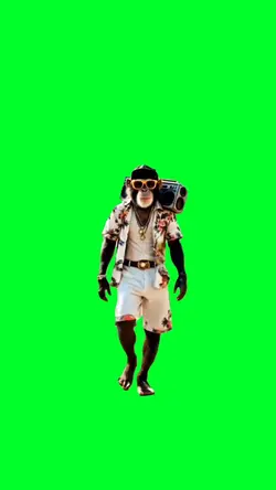 Monkey on vacation