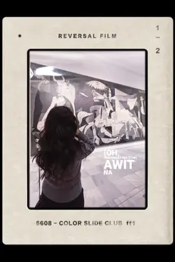 reversal film