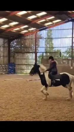Trotting on beat?