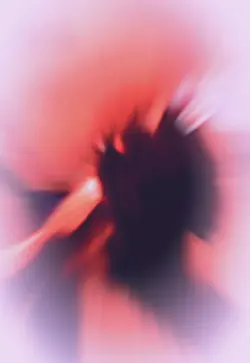 -ズートピア-