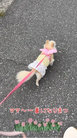 1人だけのリレー競技🤣