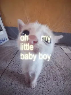 my little baby boy