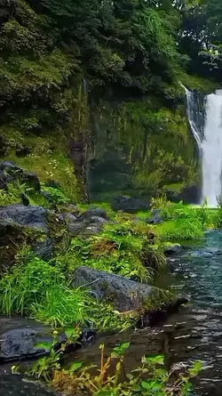 Suara Air Terjun