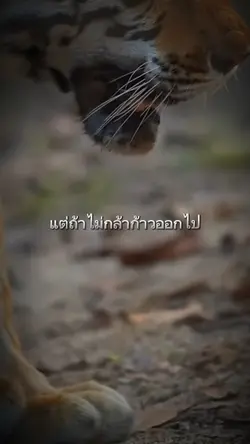 ทางข้างหน้า