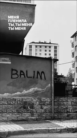 New Şablon 