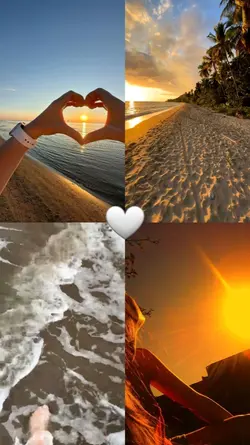 2 videos & 2 fotos
