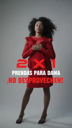 2 x 1