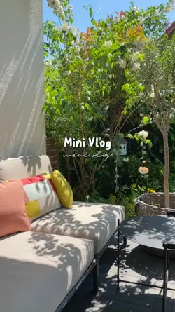 Mini Vlog 