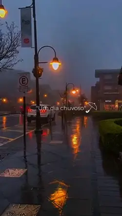 Um dia chuvoso!