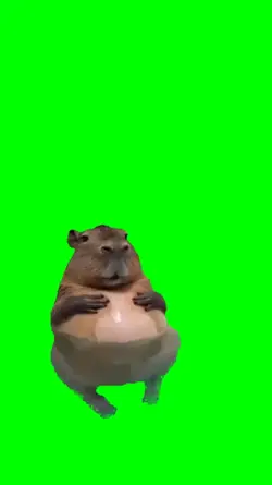 Capybara swimming