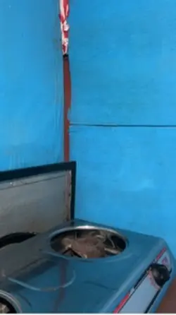 Rice meal