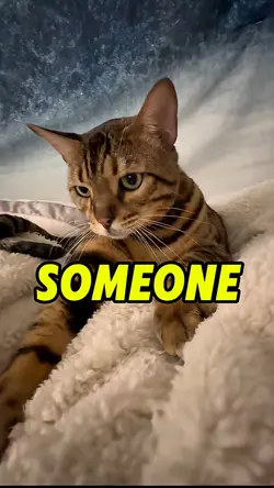 Someone once told m