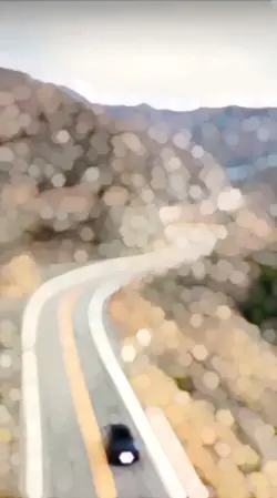 Viral Effect/Filter 