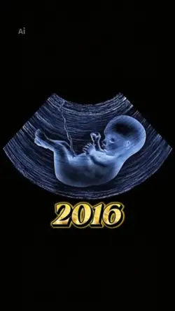 2016 To 2026
