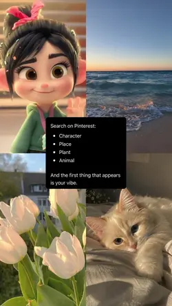 search on Pinterest 
