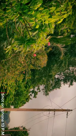 My Village