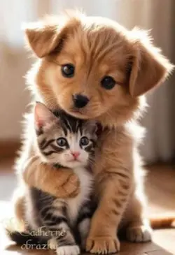 Somebody to Love