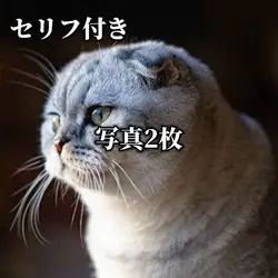 写真2枚セリフ9