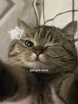 Linggang guli guli