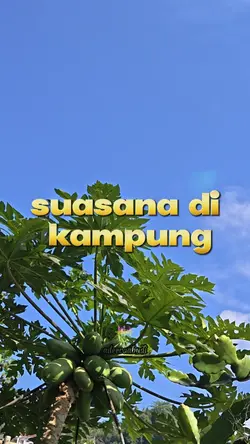 suasana kampung