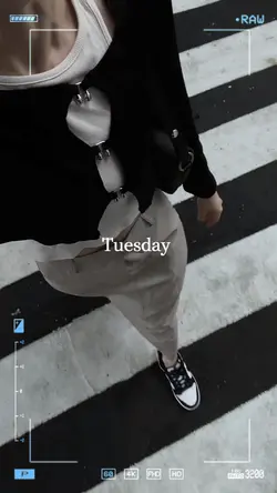 Daily outfits 
