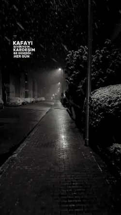 Yeni şablon