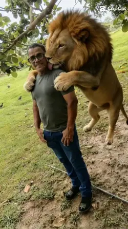 Efeito LEÃO
