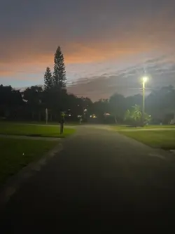 Sunset pic