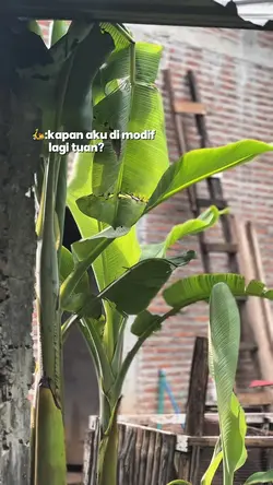 3KLIP TREND MOTORMU