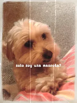 MI MASCOTA