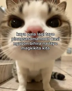 kaya pala 