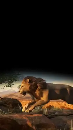 Lion gift